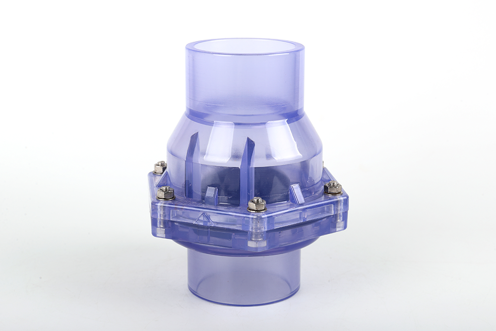 枝江透明翻板式止回阀